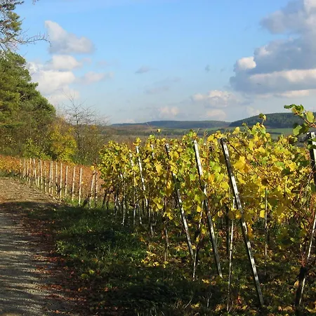 Pensionat Weinstube Schwalbennest
