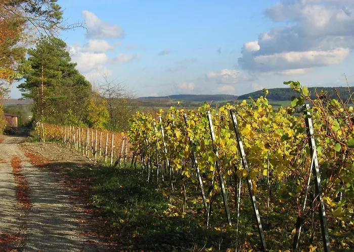Πανσιόν Weinstube Schwalbennest